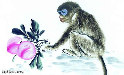 披露:马、猴、鼠、蛇:77777888888精准新版和澳门生肖彩谜语和留心误导的假幌子链,深入解答、解释与落实