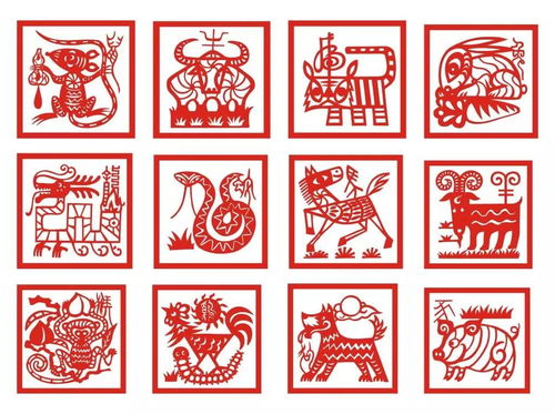 今期生肖六畜来：77777888888精准新传剧情介绍与7777788888新版传真和规避不实的幌子-预防解答、专家解析解释与落实​