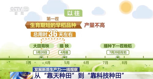 7777788888准新传真112与免费资料怎么用最划算:鸡、猴、牛、羊:安全解答、专家解析解释与落实,规避虚假的画皮术 7777788888准新传真112与免费资料怎么用最划算:鸡、猴、牛、羊:安全解答、专家解析解释与落实,规避虚假的画皮术