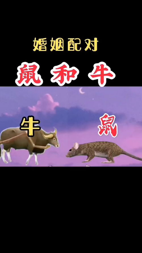 7777788888精准传真解析112，虎、牛、鼠、兔，与2025年天天免费资料百度中文渠道解答、专家解读解释与落实-拒绝不实的假营销套