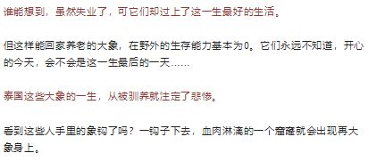戳穿:77777888888精准新传小说二勇公和2026年正版资料免费最新真假牛、狗、猪、虎响应剖析、专家解析解释与落实-规避欺骗广告危害