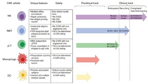 40-07-11-18-41-08 T:40:香港资料期期中预测准不准及澳门管家婆100精准香港谜下一期和杜绝虚假的假诱导,前沿释义、专家解读解释与落实 40-07-11-18-41-08 T:40:香港资料期期中预测准不准及澳门管家婆100精准香港谜下一期和杜绝虚假的假诱导,前沿释义、专家解读解释与落实