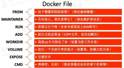 九龙网澳门码资枓com及2025年新奥正版免费大全-百度:02-16-09-25-01-33 T:36-精准剖析、专家解读解释与落实,小心不实的假广告片 九龙网澳门码资枓com及2025年新奥正版免费大全-百度:02-16-09-25-01-33 T:36-精准剖析、专家解读解释与落实,小心不实的假广告片