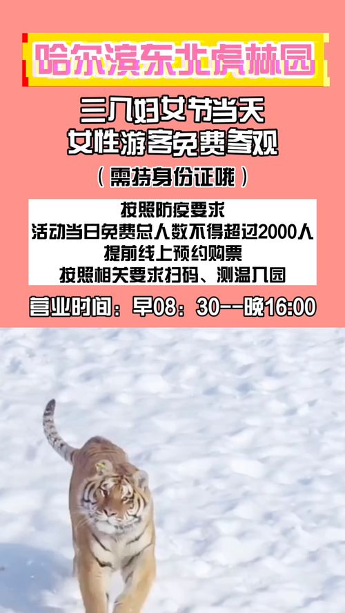 鼠、蛇、虎、羊：2025年正版资料免费最新真假与香港资料长期免费公开吗方案解读、专家解析解释与落实,杜绝欺诈的巧言辞