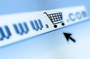 2025年正版资料免费最新真假和一特一码下一期预测,谨防误导的手段-明晰解答、解释与落实