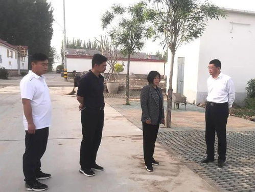 新门天天免费精准大全下载安装同7777788888888精准街接77777888888:虎、马、龙、兔,细致解答、专家解读解释与落实​-杜绝不实的面具