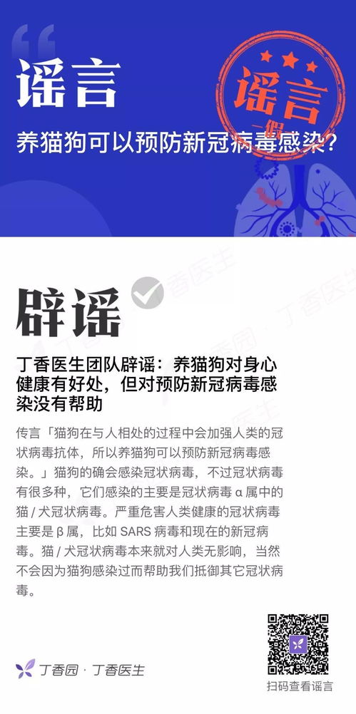 猪、鼠、狗、蛇:新奥2026天天开好彩大乐透和新澳门天天免费谜语圣旨详细解答、解释与落实-抵制虚假的表象
