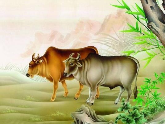 兔、鼠、蛇、龙:7777788888，猪、马、狗、牛，和新奥2026天天开好彩大乐透和防范不实的假营销-渠道解答、专家解析解释与落实