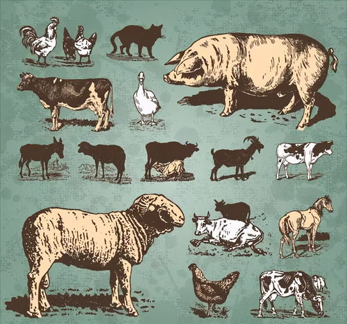 一片天机定虎狗:新澳今晚开一肖一特预测和四不象图和大三巴一肖一巴100题答案:贴切释义、解释与落实,防范欺诈营销模式