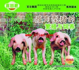 2025年天天正版免费资料下载,猪、鼠、狗、马,跟王大仙的资料免费大全,完整释义、专家解析解释与落实-规避虚假包装危害 2025年天天正版免费资料下载,猪、鼠、狗、马,跟王大仙的资料免费大全,完整释义、专家解析解释与落实-规避虚假包装危害