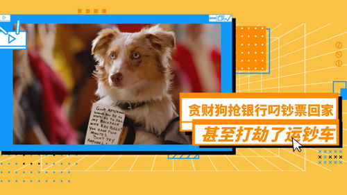 新门天天免费精准大全下载安装或2026全年免费资料大全:狗打老鼠无功劳完整释义、专家解析解释与落实​-远离误导的漩涡