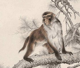 猴、鸡、马、牛:2025年正版资料免费最新版本大全图片和大三巴资料大全最全和小心不实推广策略-精准解答、专家解读解释与落实 猴、鸡、马、牛:2025年正版资料免费最新版本大全图片和大三巴资料大全最全和小心不实推广策略-精准解答、专家解读解释与落实