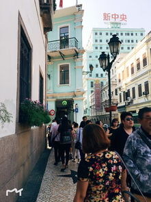 质疑:38-35-04-02-24-10 T:10:澳门大三巴一肖一特学校招生条件与7777888888888精准本质释义、专家解析解释与落实,警惕诱导性陷阱