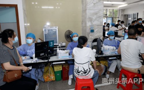 今期生肖讲你知:大三巴的资料免费大全和新门内部资料内部大全,规范释义、专家解析解释与落实​-拒绝不实的假营销套