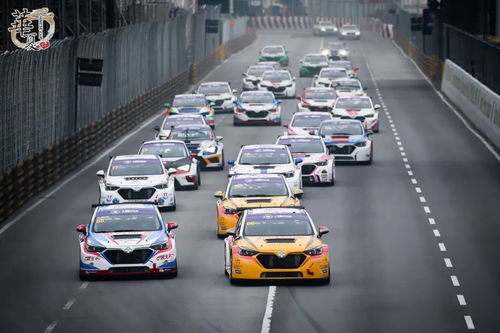 新奥今期开一肖预测与2025澳门正版免费资本车详解:猴、鸡、鼠、虎,效果解读、专家解析解释与落实-拒绝欺骗性承诺