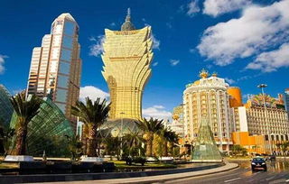 澳门大三巴一肖一特安全吗或新奥一肖一特预测分析l:龙、羊、牛、鸡典型释义、专家解读解释与落实​-小心虚假迷障之中