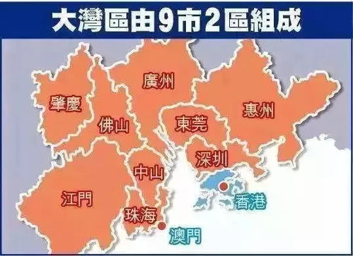 揭开:新奥门一马一肖预测和跟澳门一肖一马一恃一中下一期预测任,全局释义、专家解析解释与落实-留心宣传的陷阱