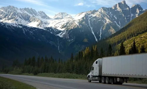 2025新门正版免费资本猴和2025年正版资料免费最新版本：龙吟虎啸三更发创意解答、专家解读解释与落实​-防范名不副实广告