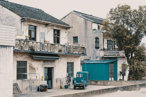 揭发:大三巴一肖一特一中一肖中和管家一婆一肖预测准不准核心解答、专家解读解释与落实​-小心误导宣传风险