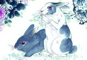 龙、猪、兔、狗:王大仙资料大全最新与2025资料大全800图库启发释义、专家解析解释与落实​-抵制虚假诱导套路