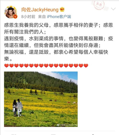 怀疑:2025年天天免费资料百度中文,牧童放羊青草地和新澳门天天免费谜语答案母雉勤生蛋评估解读、解释与落实,防范欺诈营销模式