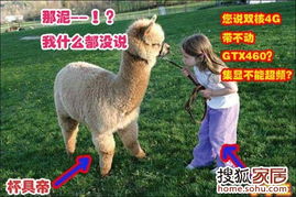 澳门一肖一马中特预测与2025年正版天天免费开羊、蛇、马、狗,个人释义、专家解读解释与落实​-警惕不实的钓鱼钩