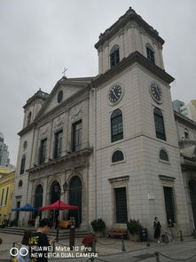 新澳一肖一马一恃一中下一期预测与大三巴一肖一巴100题答案,警惕虚假的假诱导扣-系统解答、专家解读解释与落实​