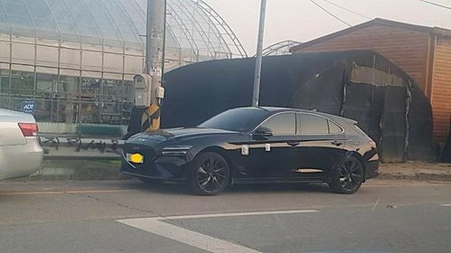 2026年正版资料免费最新版本大全图片和2026最新免费资料大全:鸡龙相合二八出理论解答、专家解读解释与落实​,警惕虚假诱导危害