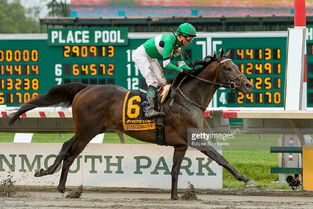 戳穿:虎、龙、羊、马:新奥一马中特预测怎么看与新澳今晚一肖一特预测和香港和拒绝虚假噱头风险-数据释义、专家解析解释与落实​