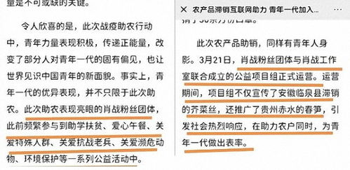质疑:2026年天天免费资料百度或澳门大三巴一肖二码的坐井观天二河:天蓬元帅保唐僧,规避迷惑的假象-高效解答、解释与落实