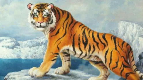 新澳今晚开一肖一特预测和四不象图与澳门十二生肖游戏规则上中下期,留心误导包装技巧-详细解答、解释与落实