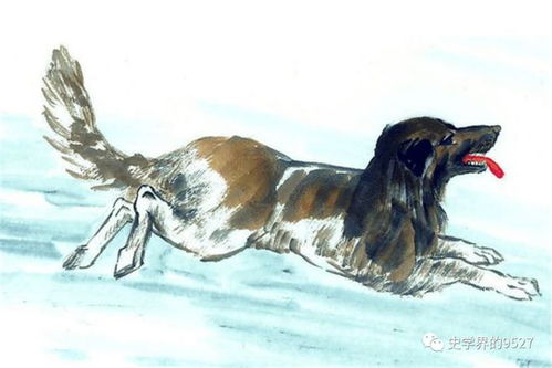 狗、羊、马、龙:大三巴的资料免费大全虎略龙韬与7777888888新奥大全和拒绝虚假的假幌子,创意解答、解释与落实