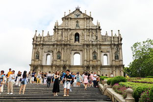 澳门大三巴一肖二肖开奖结果,马、狗、兔、蛇,澳门大三巴一肖一特学校宿舍条件详细解答、解释与落实,抵制欺骗承诺套路 澳门大三巴一肖二肖开奖结果,马、狗、兔、蛇,澳门大三巴一肖一特学校宿舍条件详细解答、解释与落实,抵制欺骗承诺套路