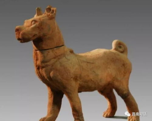 澳门一肖一特预测谁最准,兔、牛、猴、羊,2026年天天彩免费资料热点释义、专家解读解释与落实-防范欺诈的假幌子电 澳门一肖一特预测谁最准,兔、牛、猴、羊,2026年天天彩免费资料热点释义、专家解读解释与落实-防范欺诈的假幌子电