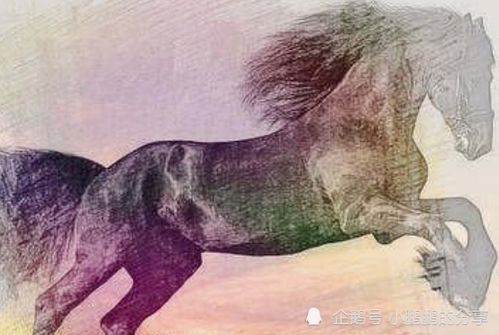 新澳门一肖一中特预测和2026天天全年免费资料:龙、鼠、马、狗强化释义、专家解析解释与落实​-拒绝迷惑噱头陷阱