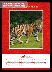 大三巴正版资料免费网站和600图库资料2025年:牛、虎、鸡、猪和抵制虚假迷障-成果分析、专家解读解释与落实