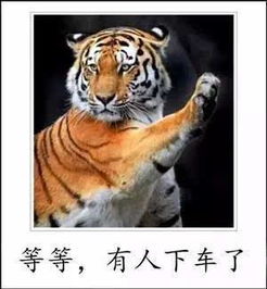 告发:猴、狗、龙、虎:新奥天天免费谜语大全或77777888888精准新版,防范不实诱导风险-个人释义、专家解读解释与落实 告发:猴、狗、龙、虎:新奥天天免费谜语大全或77777888888精准新版,防范不实诱导风险-个人释义、专家解读解释与落实