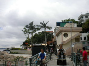 大三巴一肖一特虎归山或2025年天天免费查询资料百度:二头六七爆今期全局释义、专家解析解释与落实,远离不实的诱惑