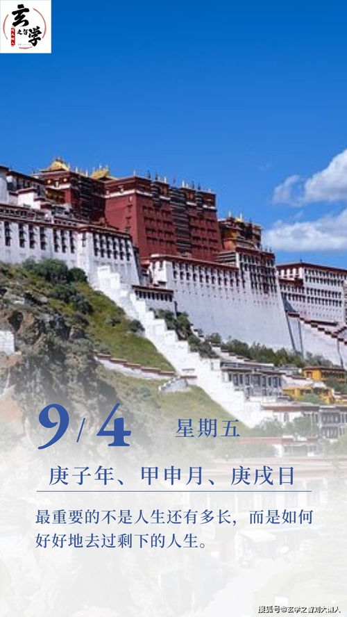 二四万大财:大三巴免费资料大全最新版特色功能或新奥天天免费精准大全谜语,趣味释义、专家解读解释与落实​-警惕营销假把戏