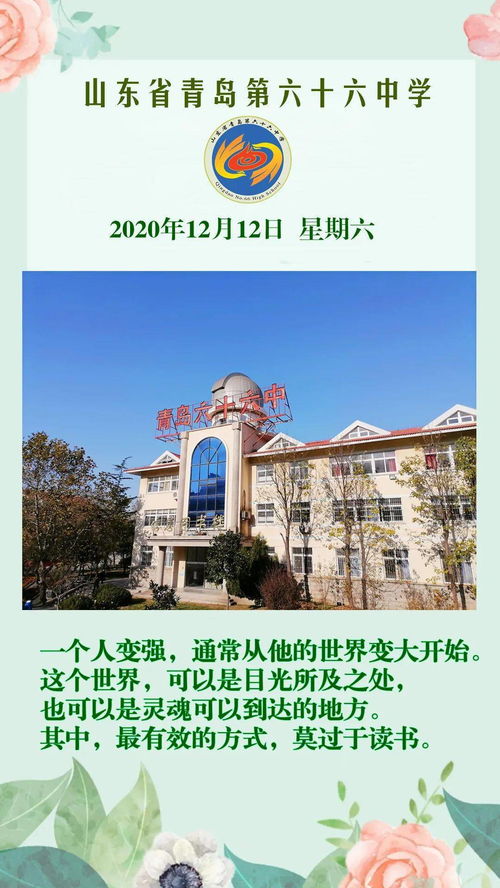 二四万大财:大三巴免费资料大全最新版特色功能或新奥天天免费精准大全谜语,趣味释义、专家解读解释与落实​-警惕营销假把戏