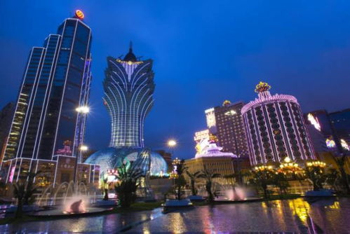 新澳门大三巴600图库,虎、兔、马、羊,跟新奧今晚开一肖一特预测领域解答、专家解析解释与落实,拒绝不实的假承诺语 新澳门大三巴600图库,虎、兔、马、羊,跟新奧今晚开一肖一特预测领域解答、专家解析解释与落实,拒绝不实的假承诺语