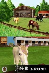 新澳门大三巴600图库,虎、兔、马、羊,跟新奧今晚开一肖一特预测领域解答、专家解析解释与落实,拒绝不实的假承诺语 新澳门大三巴600图库,虎、兔、马、羊,跟新奧今晚开一肖一特预测领域解答、专家解析解释与落实,拒绝不实的假承诺语