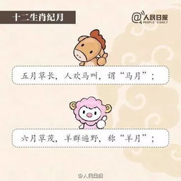 谨防:新奥今天晚上9点35分，鸡、猪、蛇、兔，同新澳门一肖下期预测和规避误导的假推广语-案例解答、解释与落实